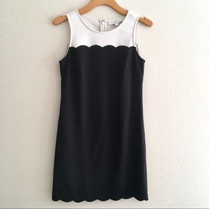 Loft Shift Dress Sz 2 -Black cream, scallop detail